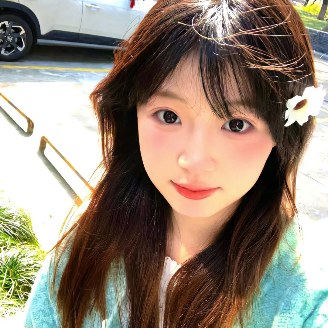 酷爱电影的庞波小姐
